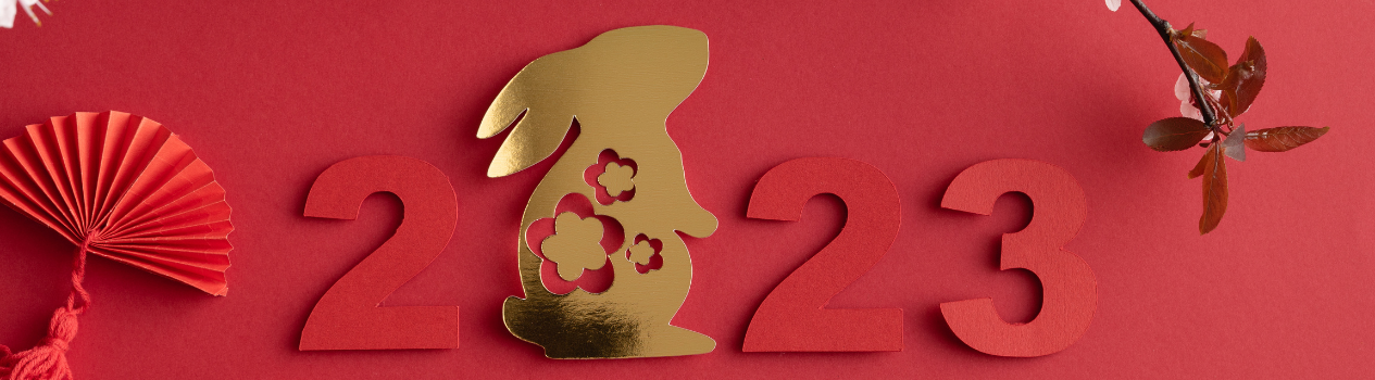 Unique Chinese New Year Gift Ideas_gifts