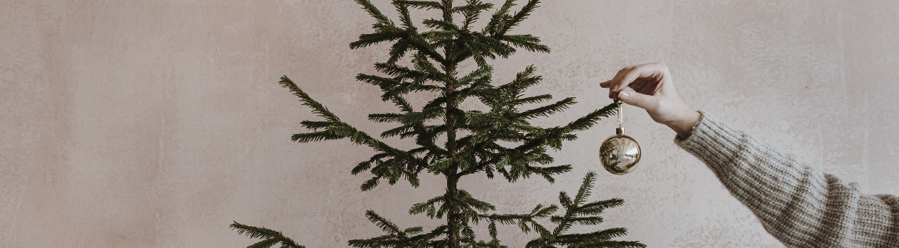 Christmas Gift Ideas For Everyone_christmas-flowers-hampers