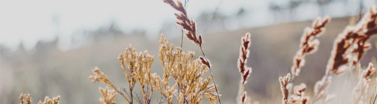 The Gemini Birthday Gift Guide You Need in 2024