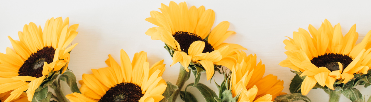 For Your Loved Ones!_sunflowers