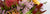 Explore More Natives!_native-flowers