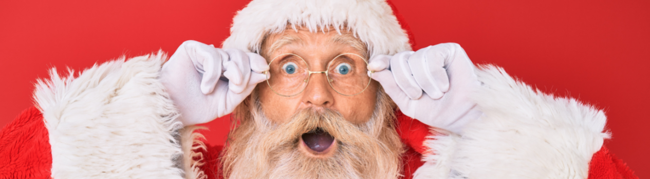 Get Your Christmas Gifts Now_christmas-flowers-hampers