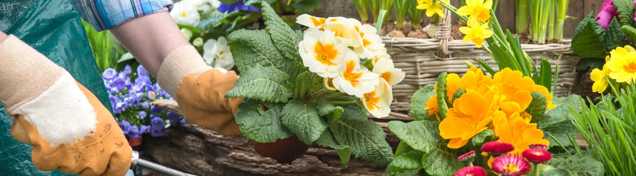 Have It Easy With Bloomeroo!_all