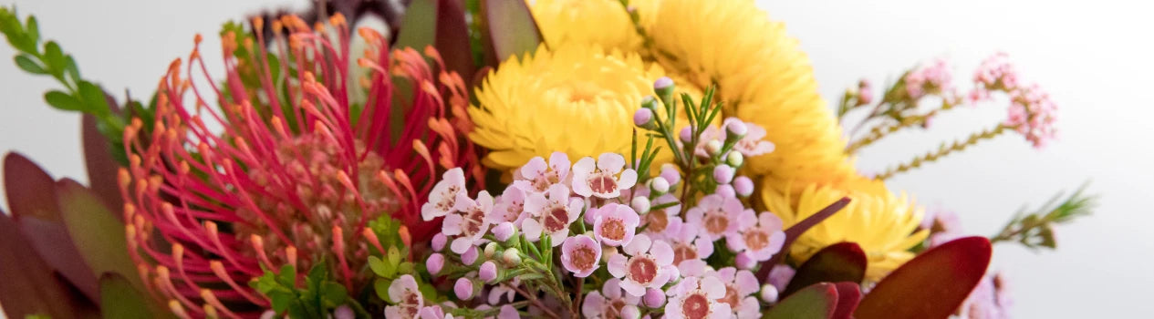 Shop For Native Flowers Todaiy!_native-flowers