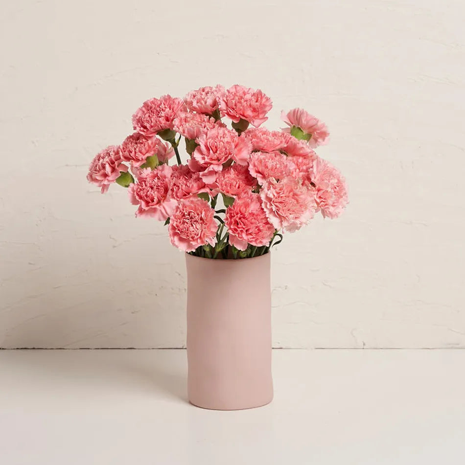 Carnations in Ceramic Vase