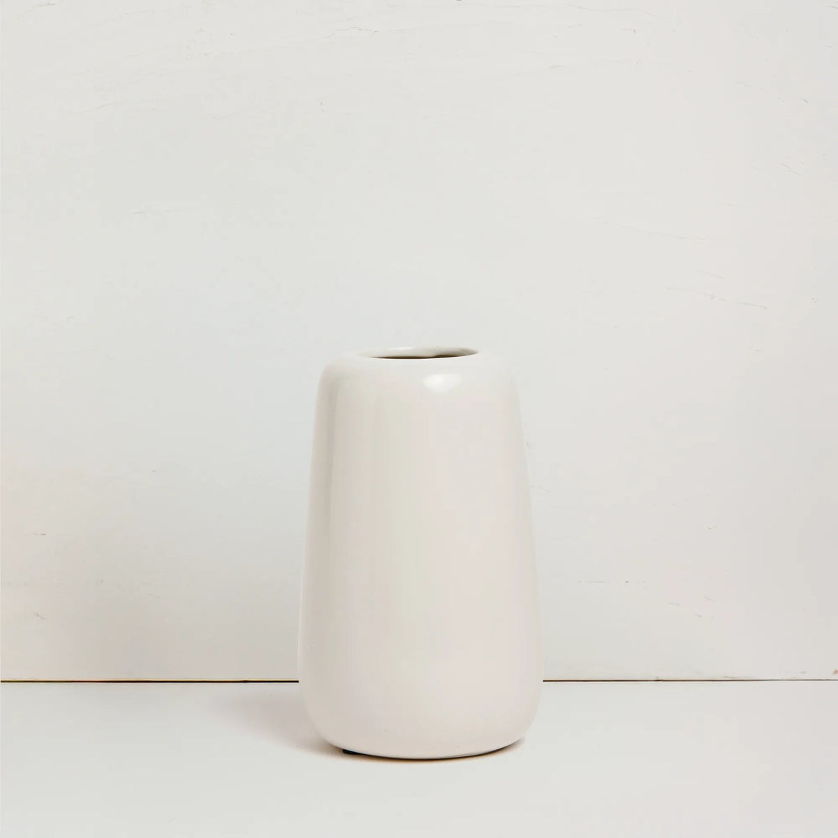 Protea in Ceramic Vase