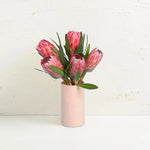 Protea in Ceramic Vase