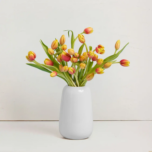 Tulips in Ceramic Vase