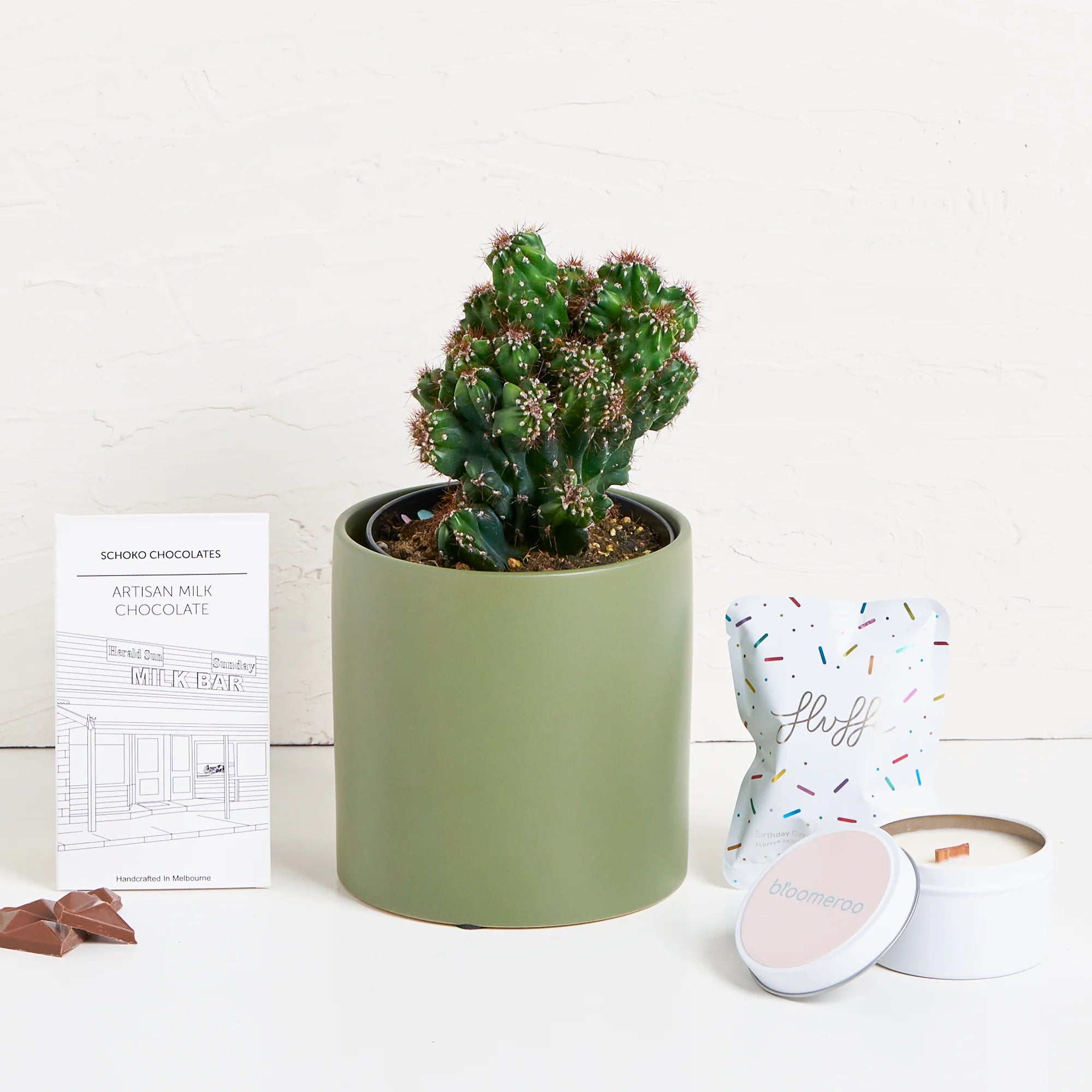 Birthday Cactus