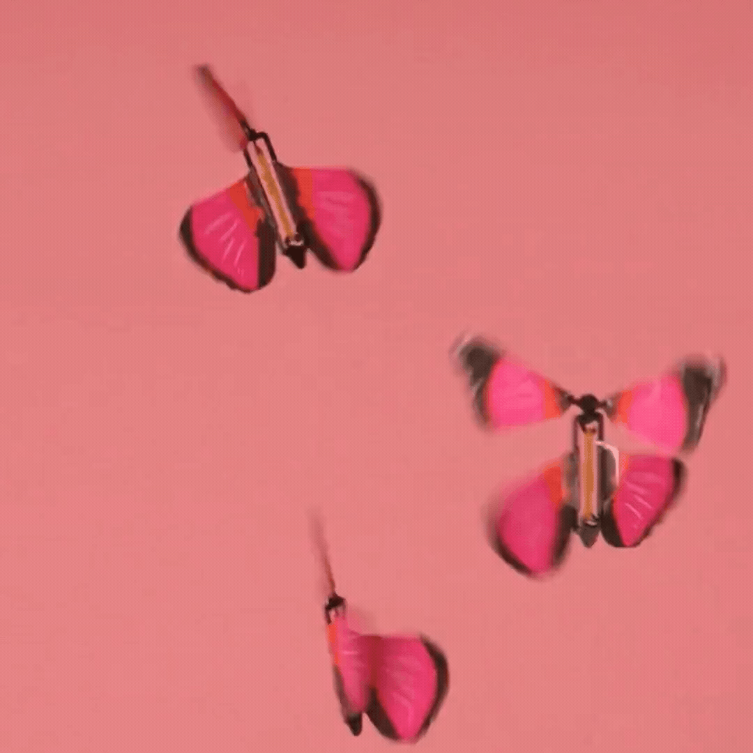 Butterfly Pamper Explosion Box