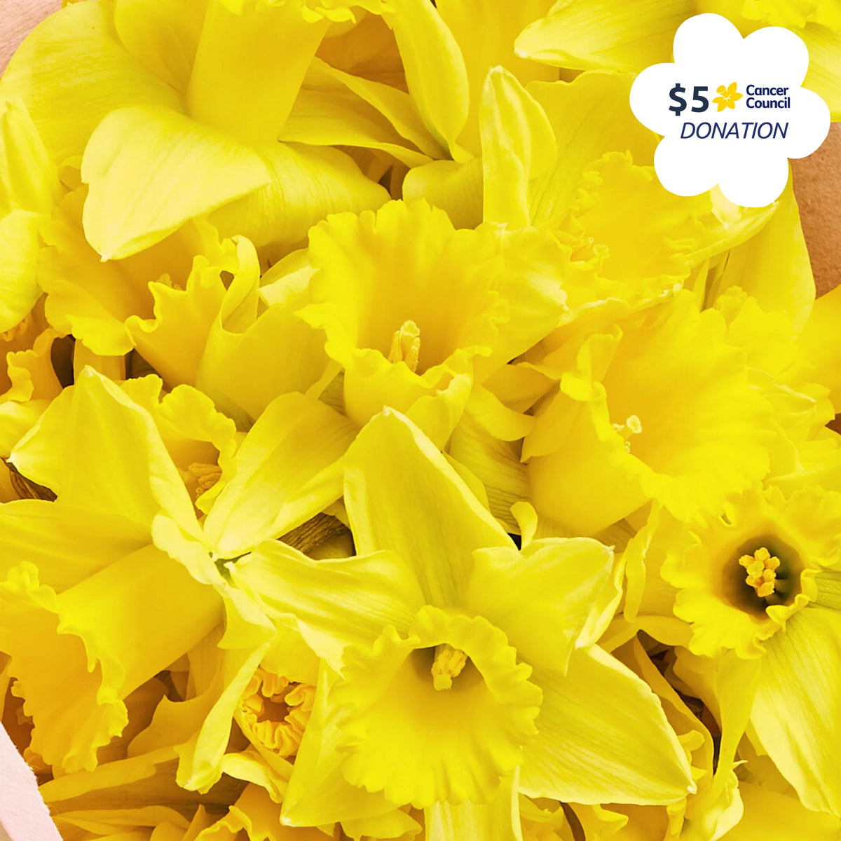 Daffodil Bouquet