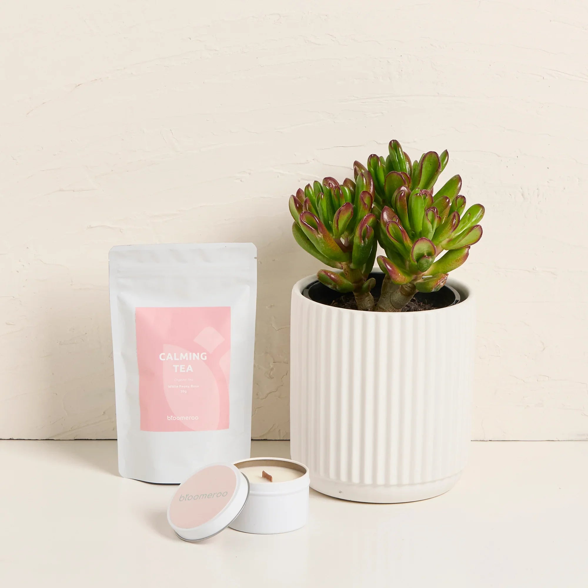 Here For You Succulent