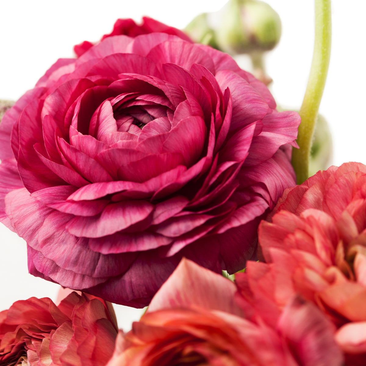 Buttercup Bouquet