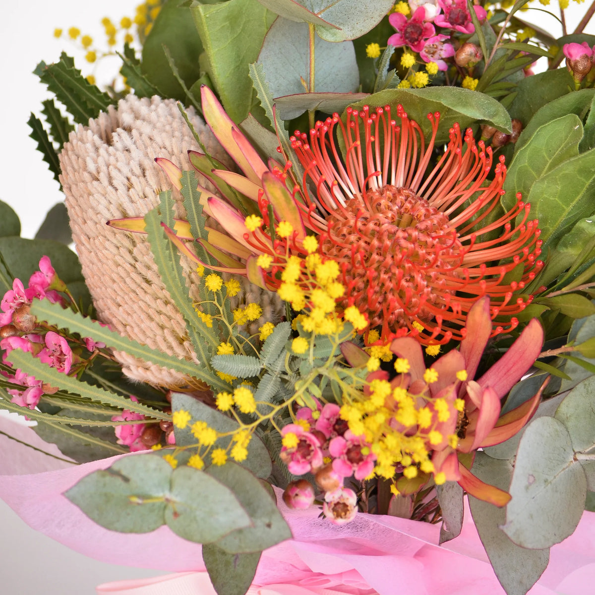 Medium Native Beauty