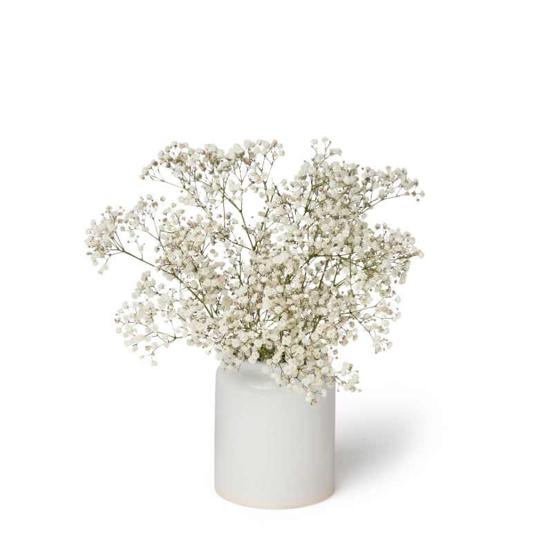 Baby&#39;s Breath Bouquet